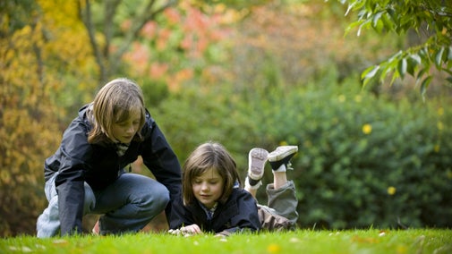 Llun agos o ddau blentyn yn gorwedd ar laswellt
